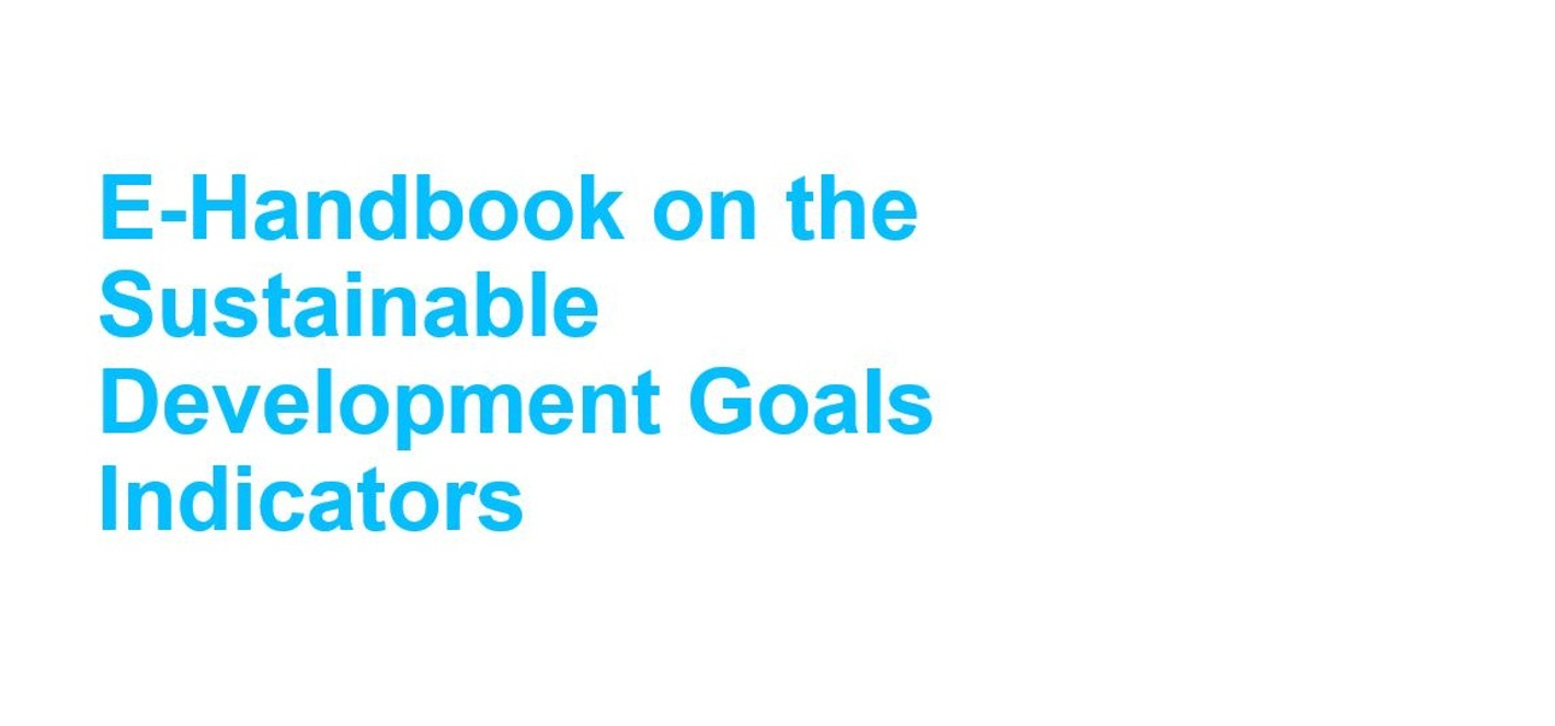 『E-Handbook On SDG Indicators』国連統計局（UNSD） – 企業のSDGs実践支援【一般社団法人SDGs ...